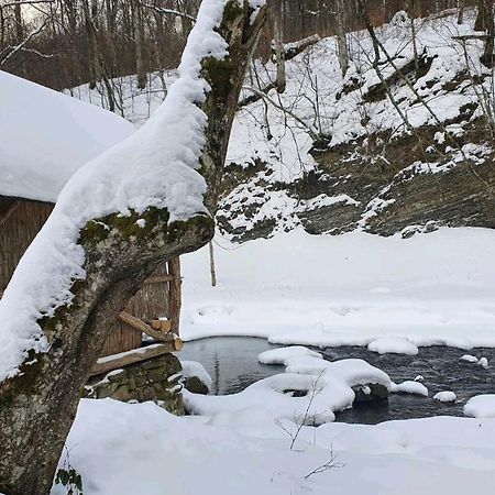 Хатина Біля Потока Villa Lumshory Eksteriør bilde