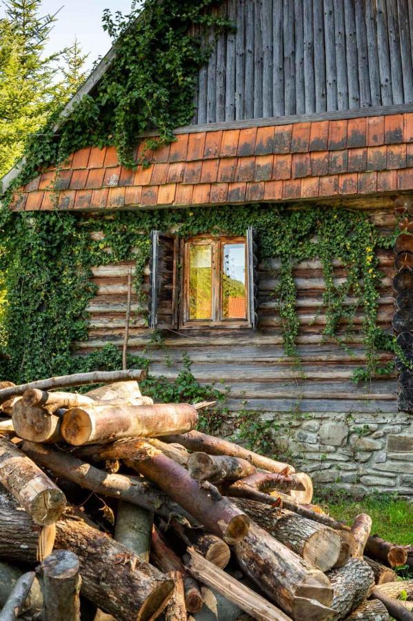 Хатина Біля Потока Villa Lumshory Eksteriør bilde