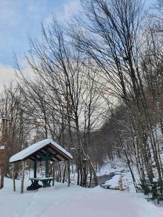 Хатина Біля Потока Villa Lumshory Eksteriør bilde