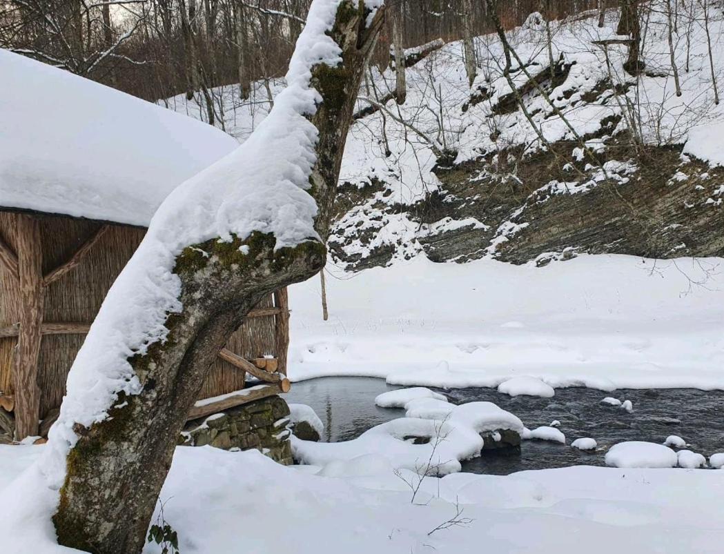 Хатина Біля Потока Villa Lumshory Eksteriør bilde